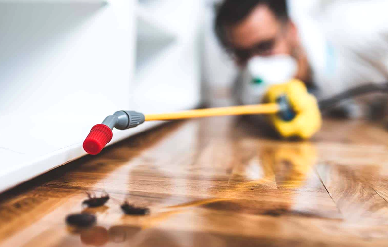 A man disinfecting a home to remove pests in Winston-Salem.